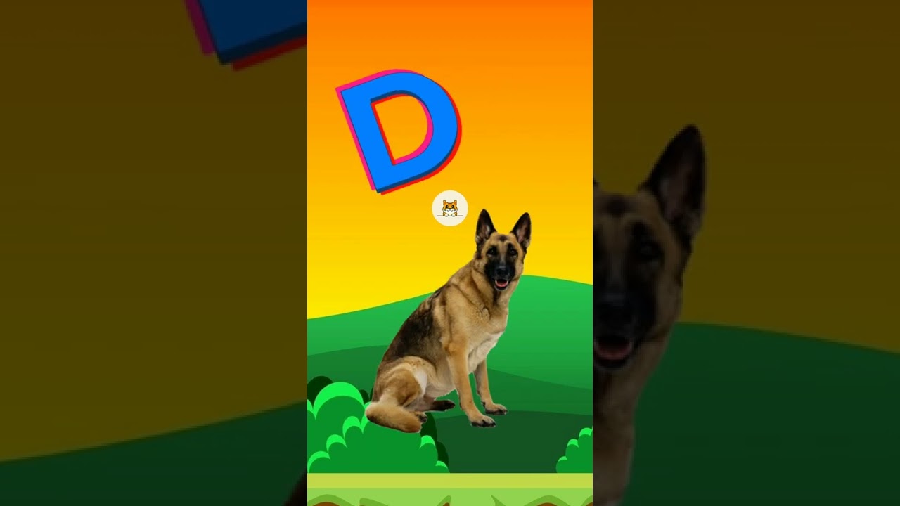D for Dog ABC