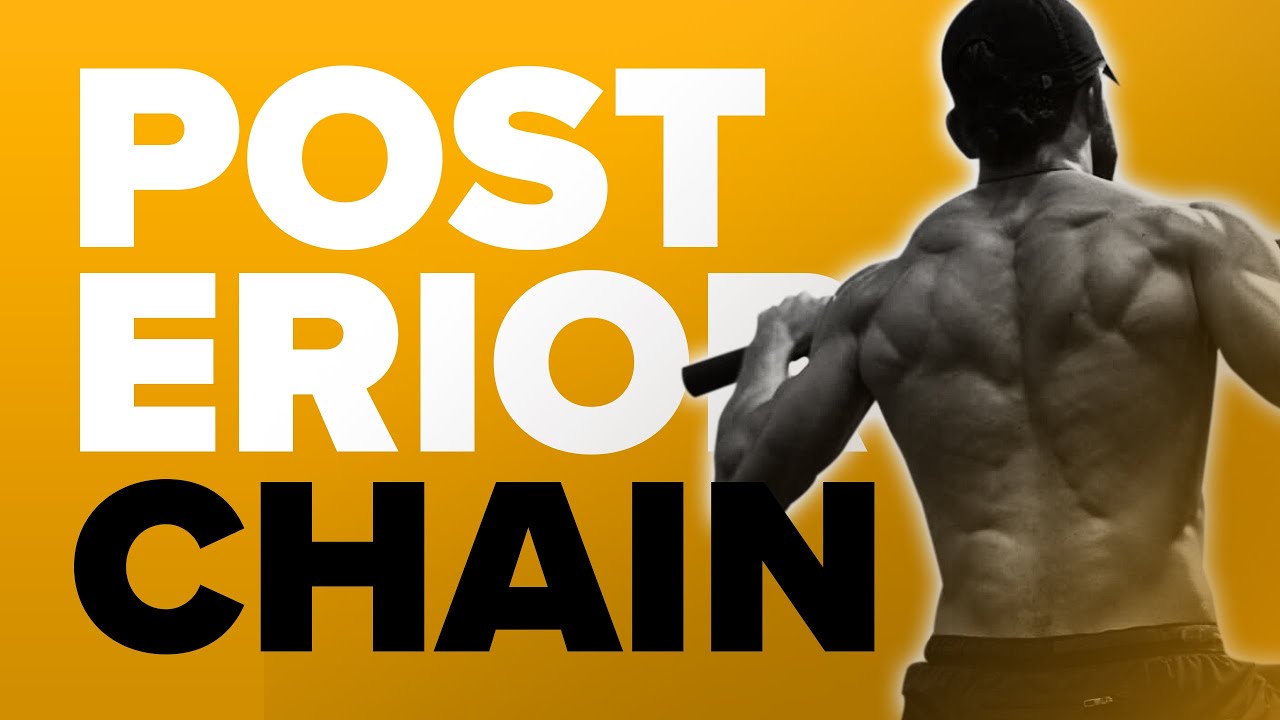 The Posterior Chain: Why it's so Important