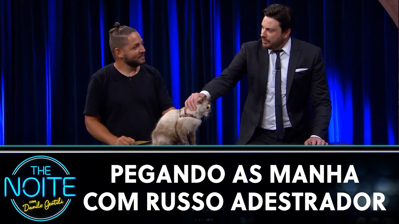 Pegando as Manha: Como adestrar gatos de estimação | The Noite (17/11/20)