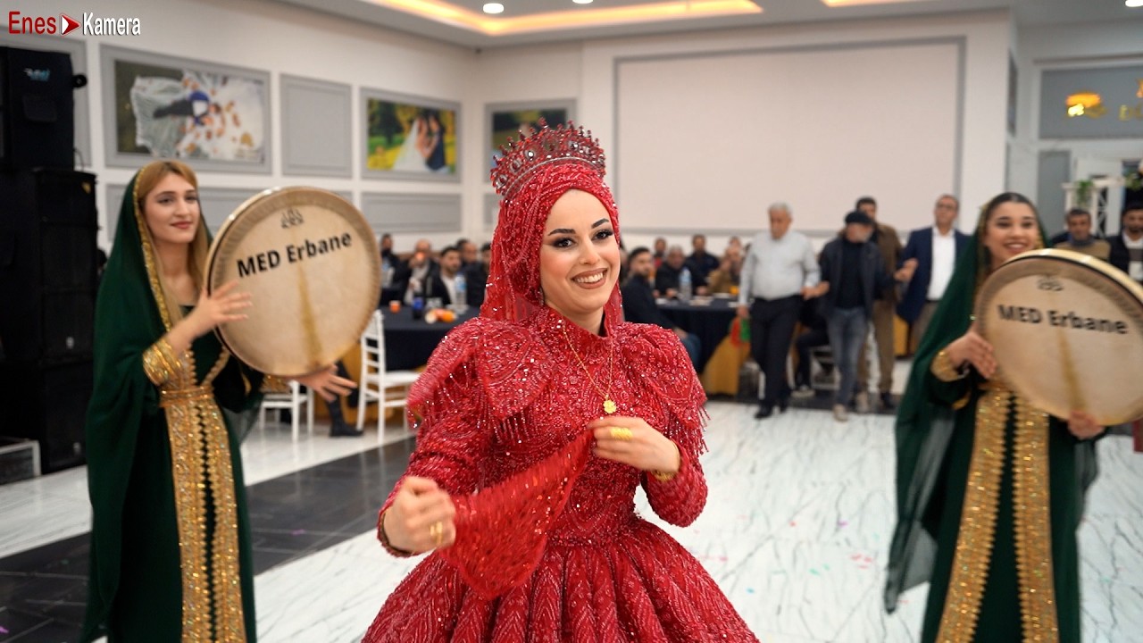 Berat Ak - Bımbarek Sed Bımbarek - Cane Cane Va Cane - Delilo 2026