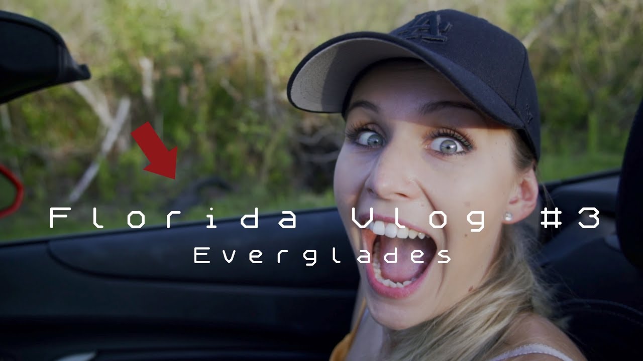 Everglades - den Alligatoren GANZ nah 🐊 | FLORIDA VLOG #3