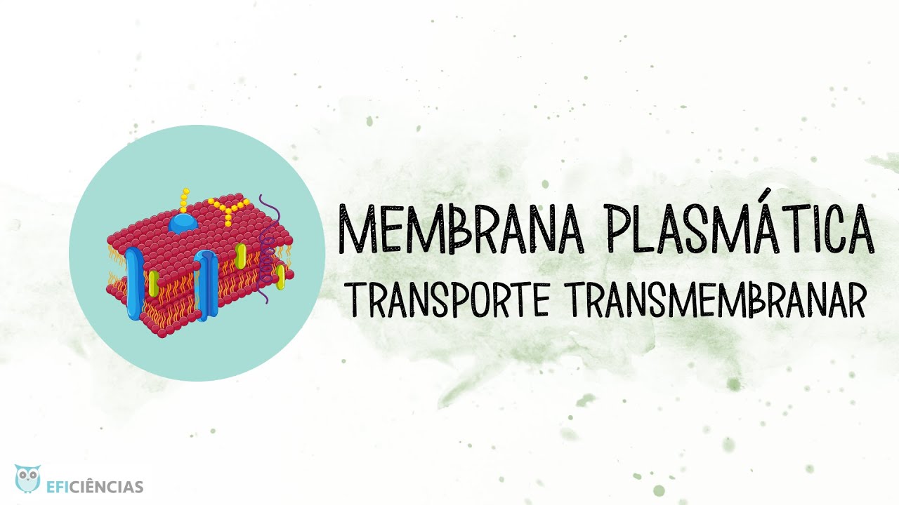 Membrana plasmática - Transporte transmembranar - Biologia e Geologia 10ºano