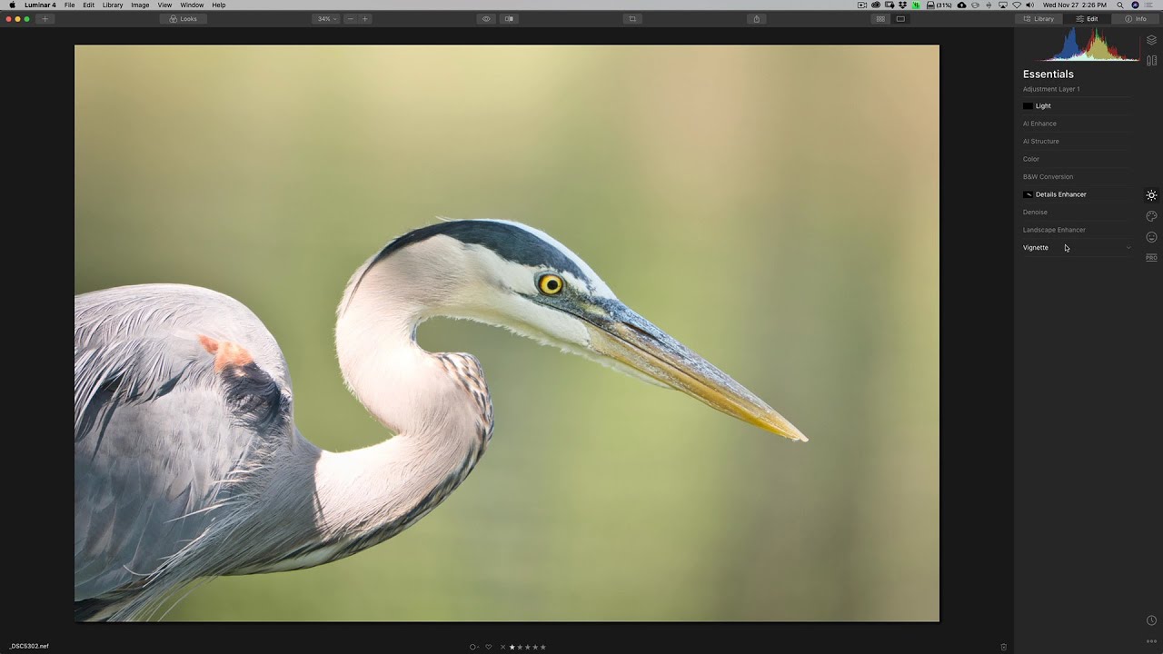 Processing WILDLIFE in LUMINAR 4