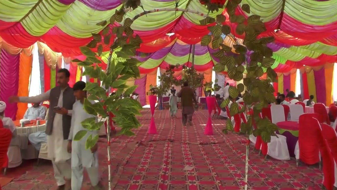 Zia tent service #advertisement #