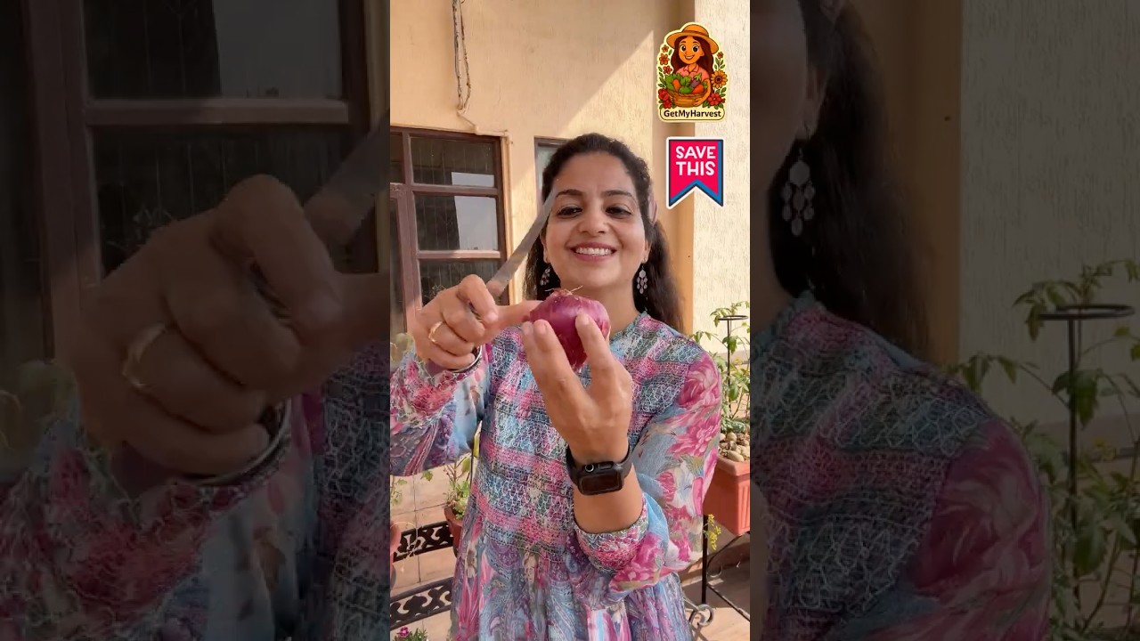 Wait! Isse pheko mat. Dustbin to Garden hack! 🪴♻️ FREE mein HARI PYAAZ🧅✨