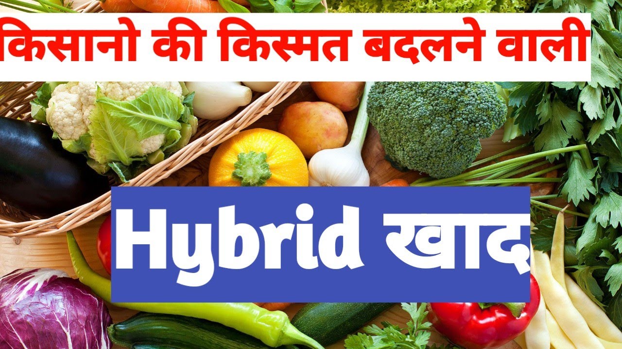 Hybrid खाद कैसे बनाये