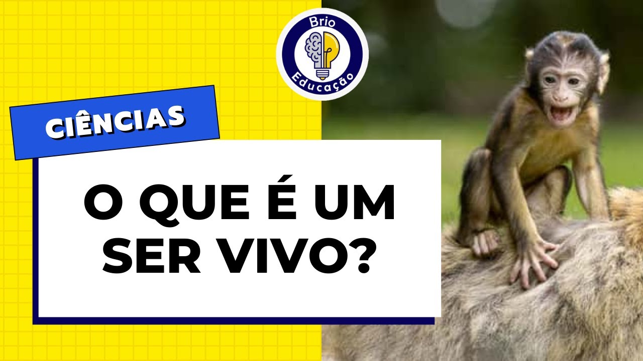 Ci&ecirc;ncias: O que &eacute; um ser vivo? | Brio Educa&ccedil;&atilde;o