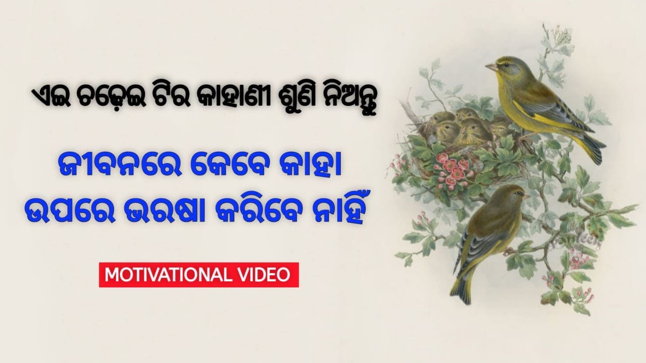 Best motivational video in Odia | Motivational speech in odia | Moral stories | inspirational quotes
