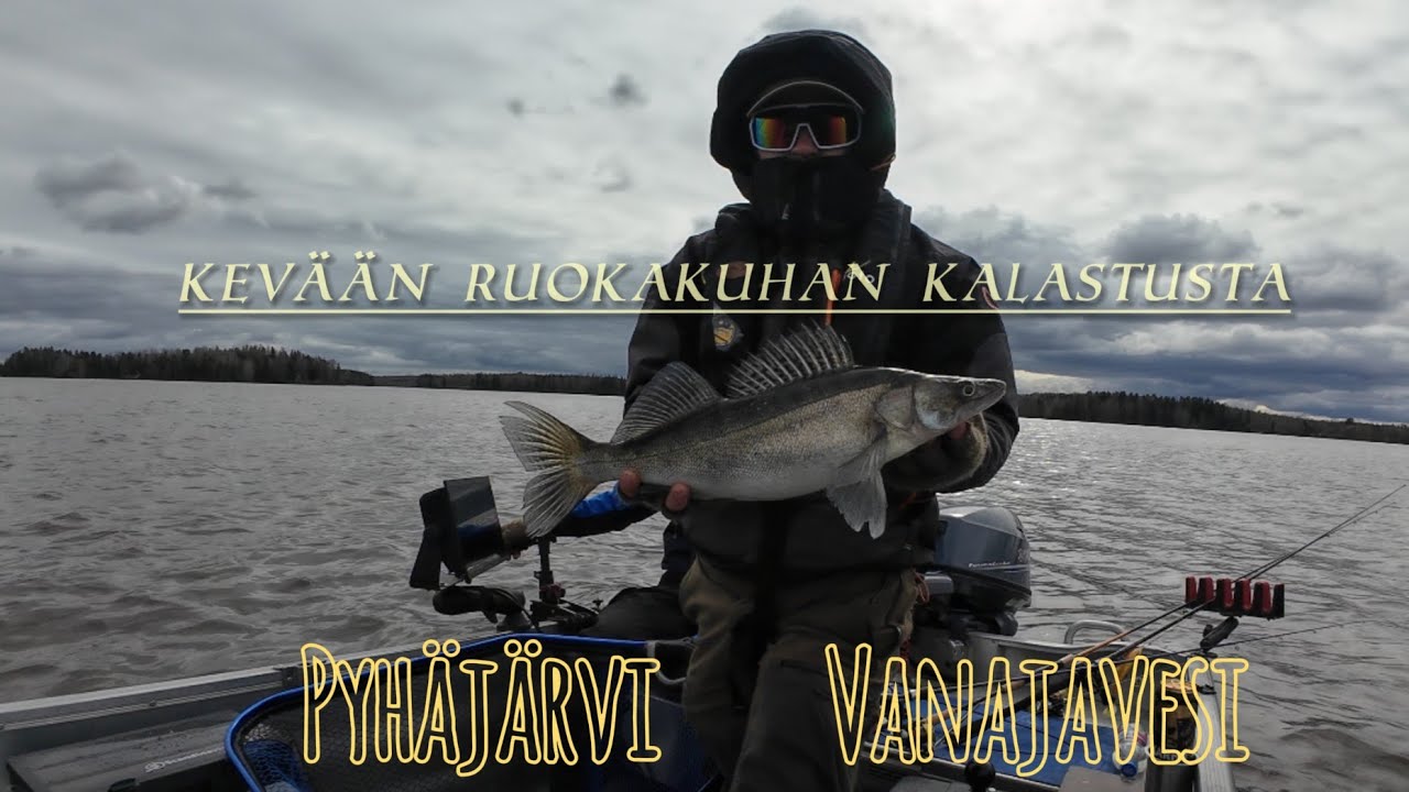 2 PÄIVÄÄ KUHAN PERÄSSÄ | PYHÄJÄRVI/VANAJAVESI