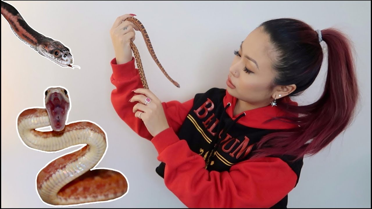 Scaleless Snakes!