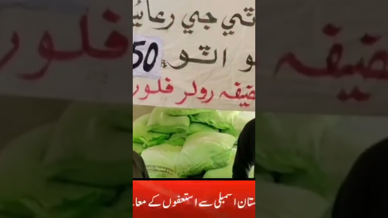 king news HD #breaking #newstoday #king #shortvideo #shorts