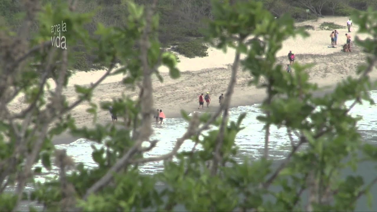 Ama la Vida Buen Vivir 3T Capítulo 13 Puerto López un diamante por pulir