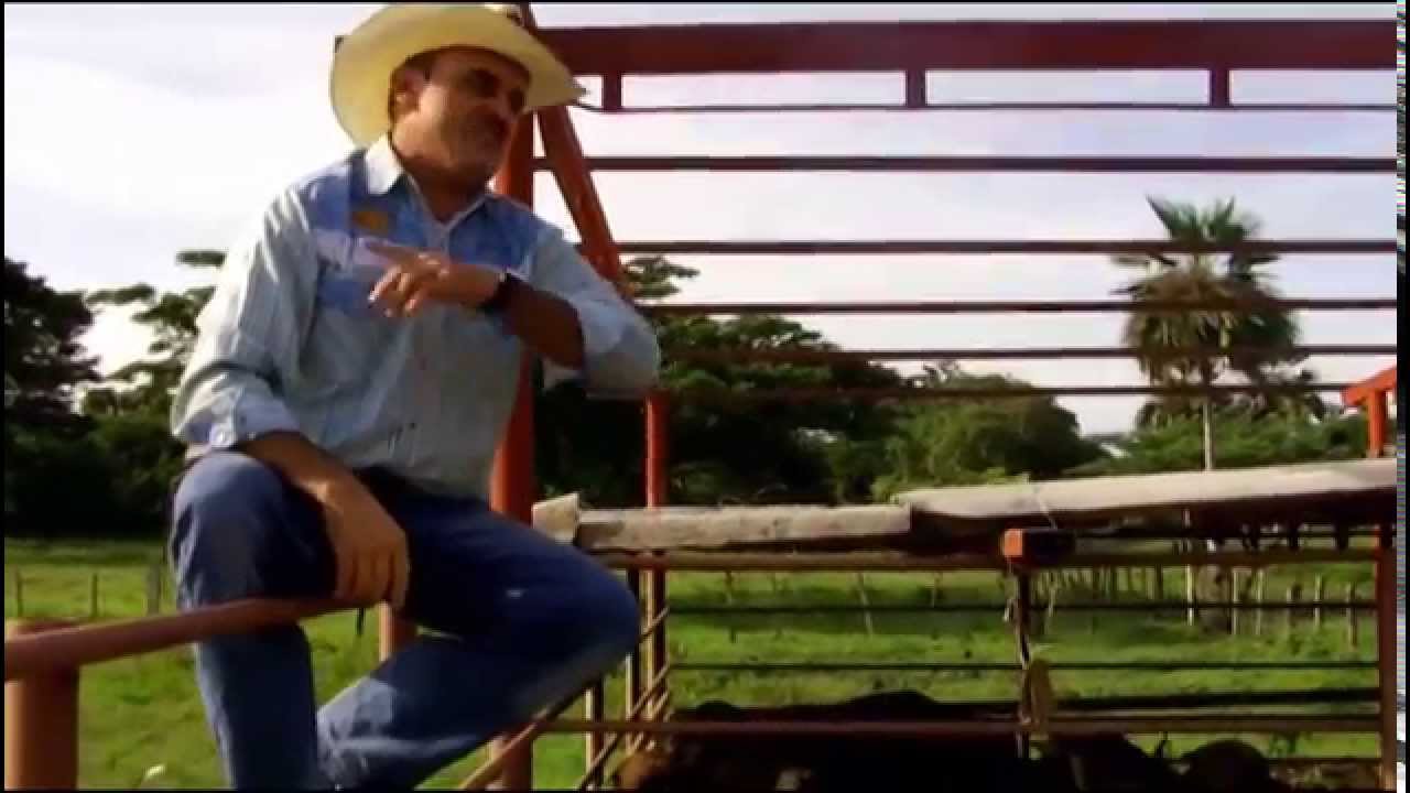 Un Grito de Guerra | Agustín Rodríguez | Vídeo Oficial