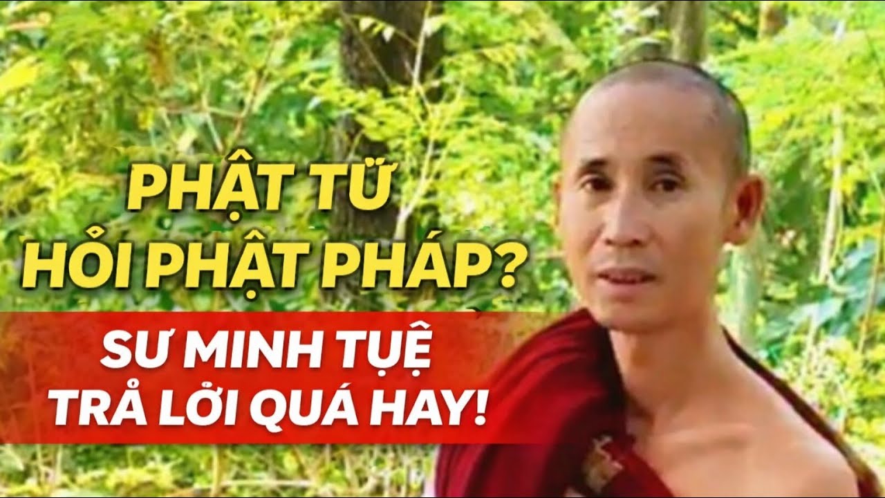 Sư Minh Tuệ trả lời câu hỏi phật tử quá hay! tuyệt vời.