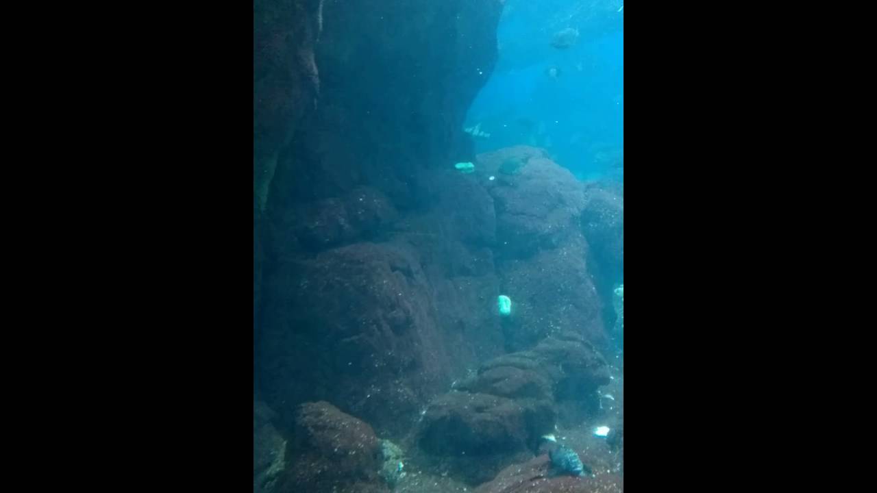 WP_20160515_15_42_04_Pro.mp4