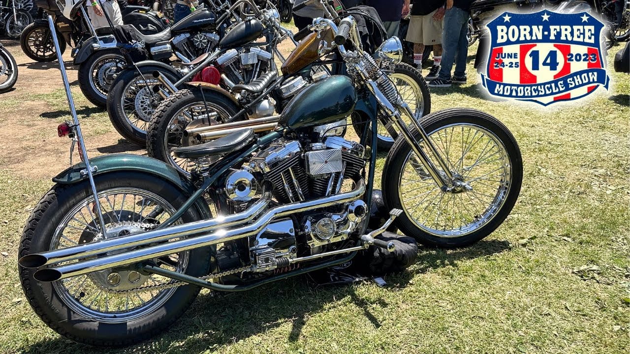 Born Free 14 Grass Pass Bikes