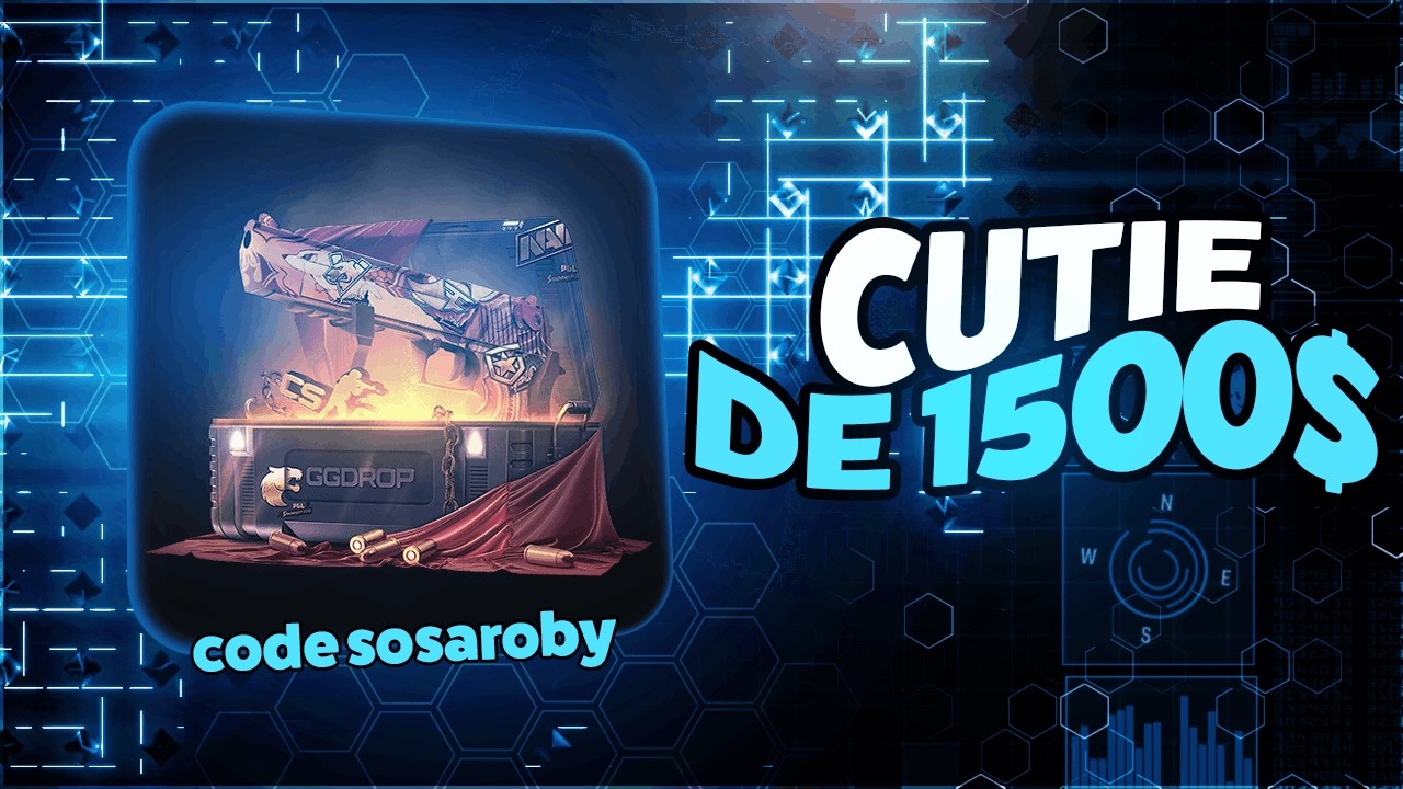 CUTIA DE 1500$ POARTA GHINION (GGDROP)