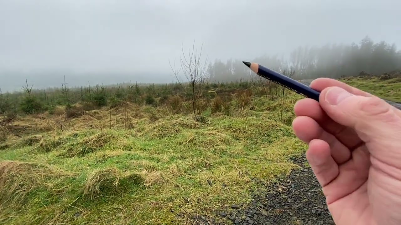 Plein Air - Ballyboley Forest (NI) - Using Derwent Inktense Watercolour Pencils