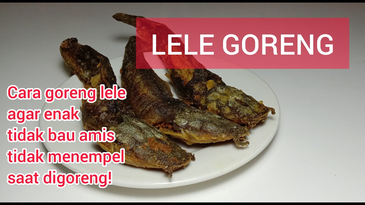 LELE GORENG - Cara goreng lele agar enak tidak bau amis tidak menempel saat digoreng!