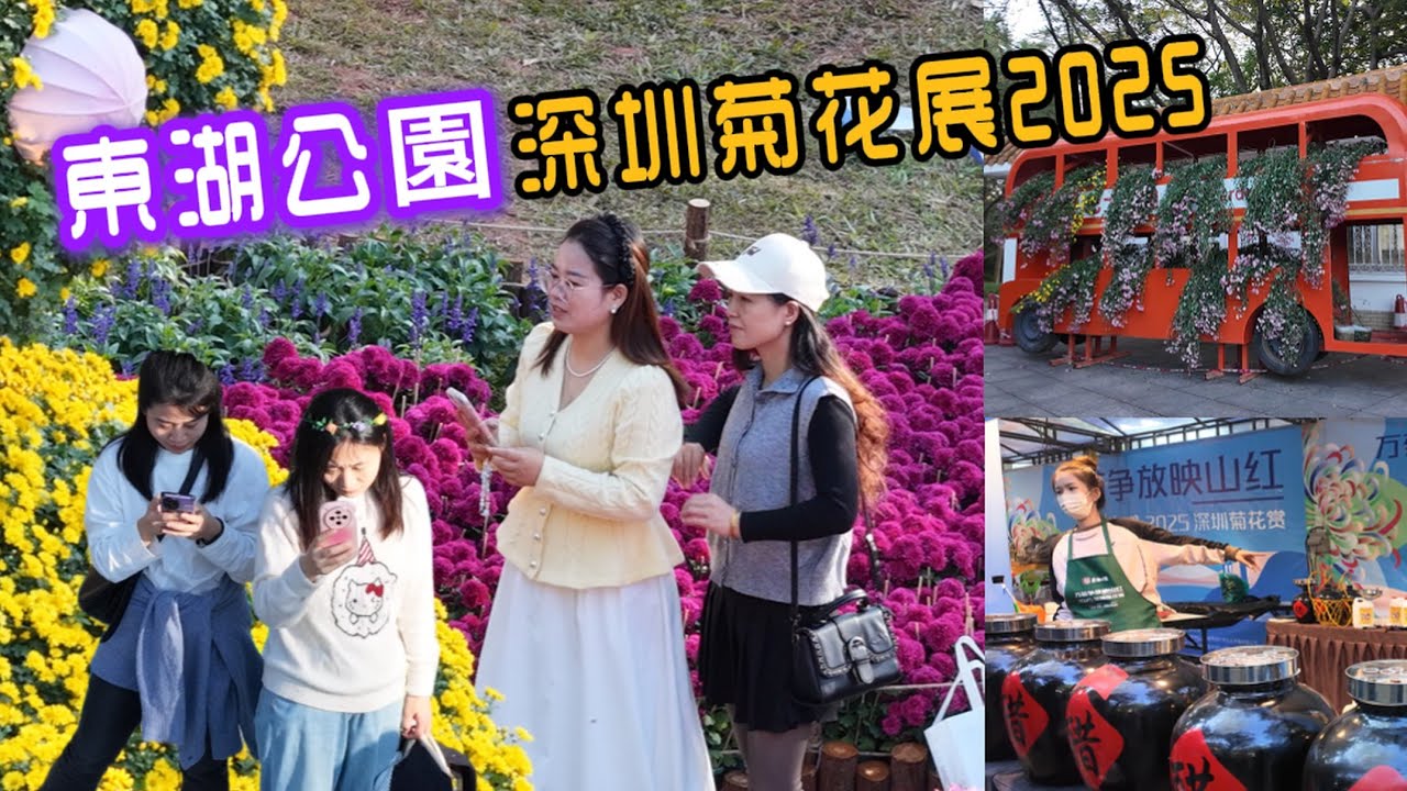 東湖公園 深圳菊花展2025 