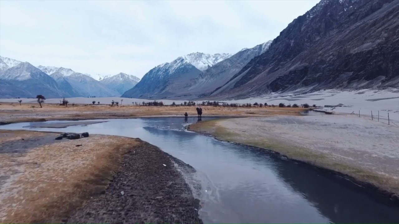 Peter Raposo 2024 Countdown to Christmas