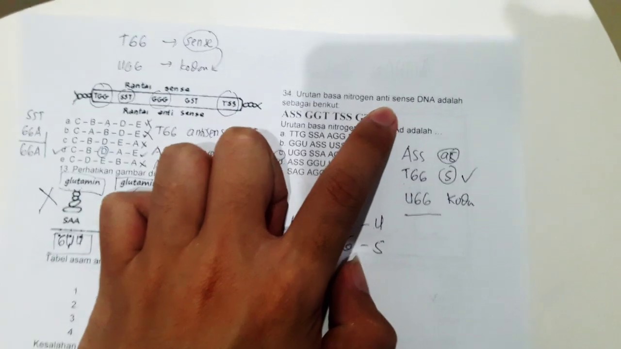Soal Genetika dan Pembahasannya- 12 SMA