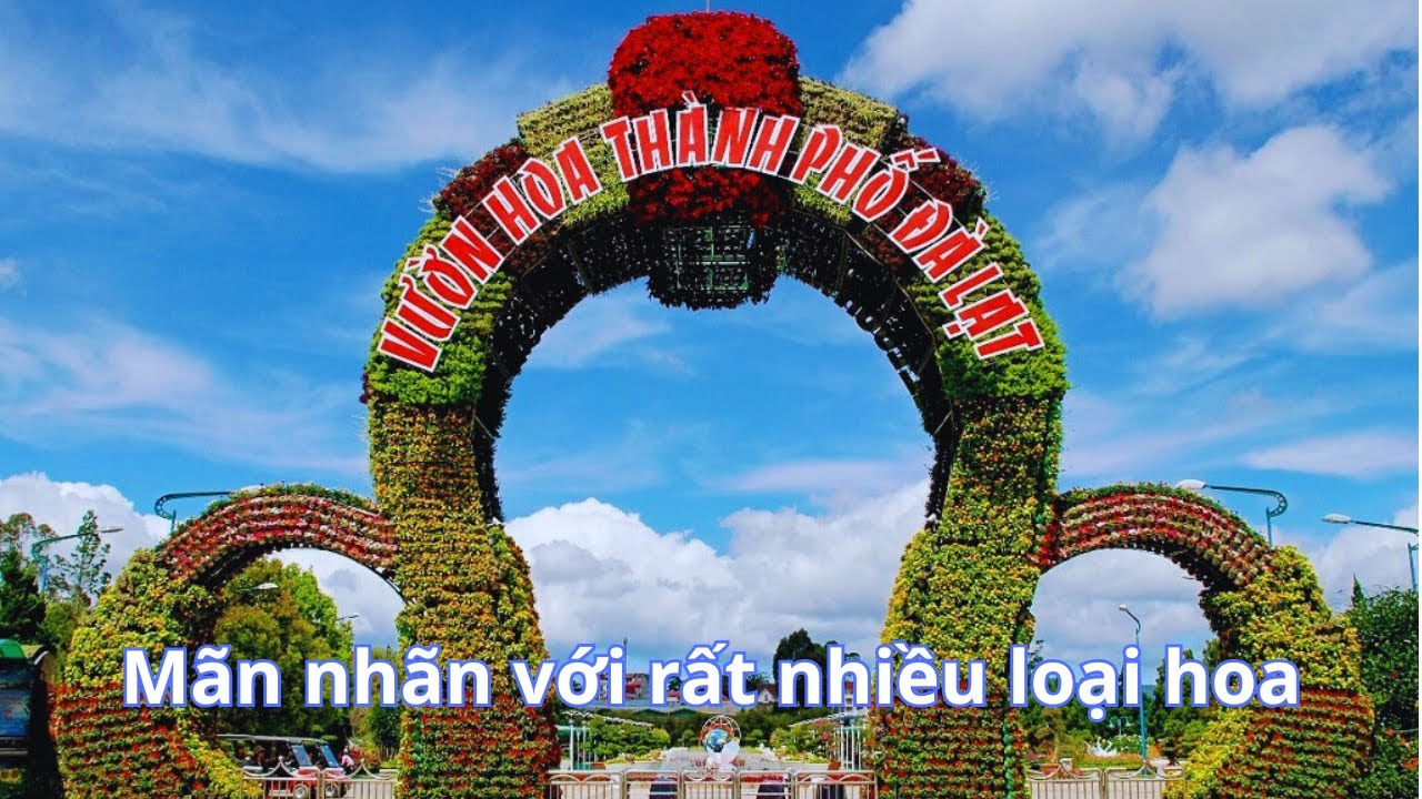 Vườn hoa Thành phố Đà Lạt, mãn nhãn với rất nhiều loại hoa đua nhau khoe sắc