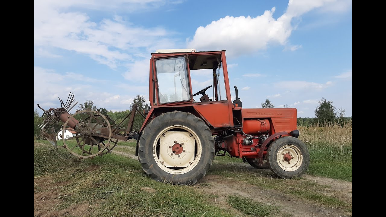 Kopanie ziemniaków Władimirec T25 & kopaczka gwiazdowa (fyrtok)