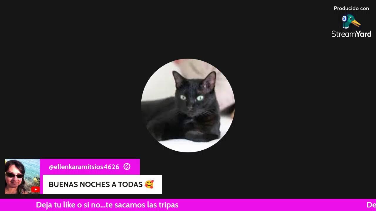 ANTONIA AL PODER Y EL MANUAL DE LA BUENA MADRE