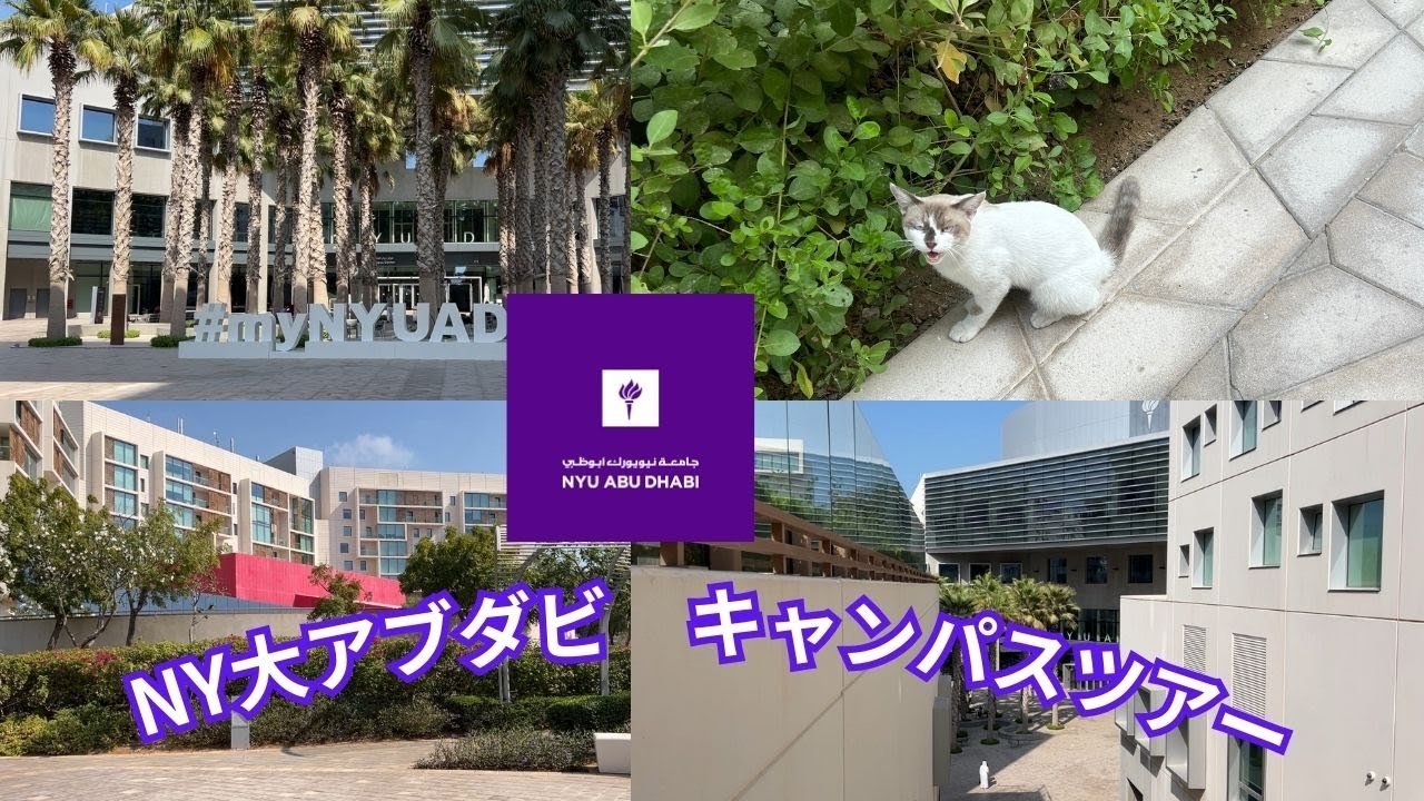 【NY大学アブダビキャンパスツアー】お小遣いと全額奨学金付きの大学？