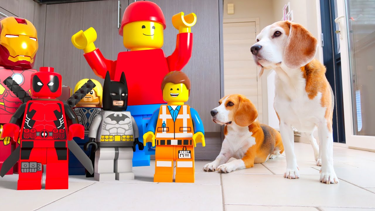 Funny Beagles Take on Animated Characters in Real Life!