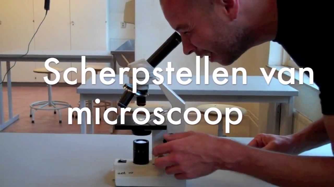 Microscoop scherpstellen