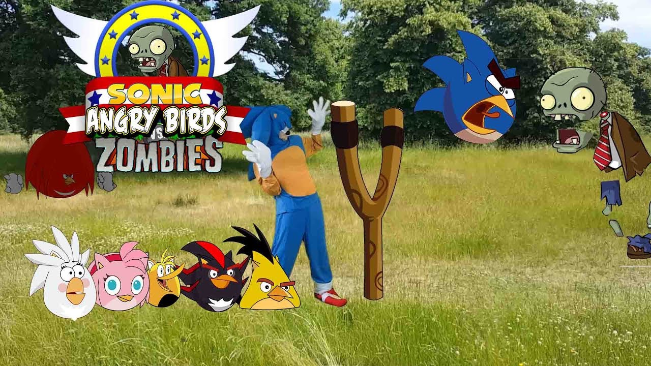 Sonic and angry birds vs zombies in real life-Bowser12345
