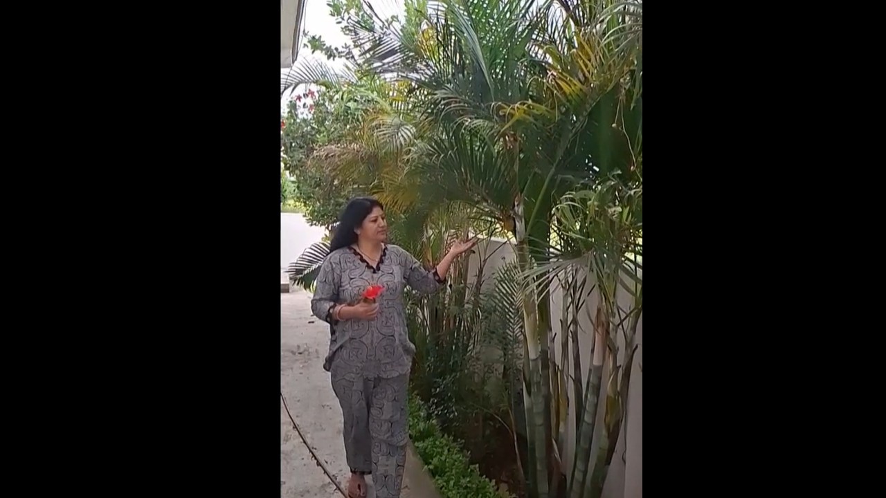 utra na dil mai koi #beautifulgarden #beauty # beautyofpam #fitness #morningvibes  #youtubeshorts