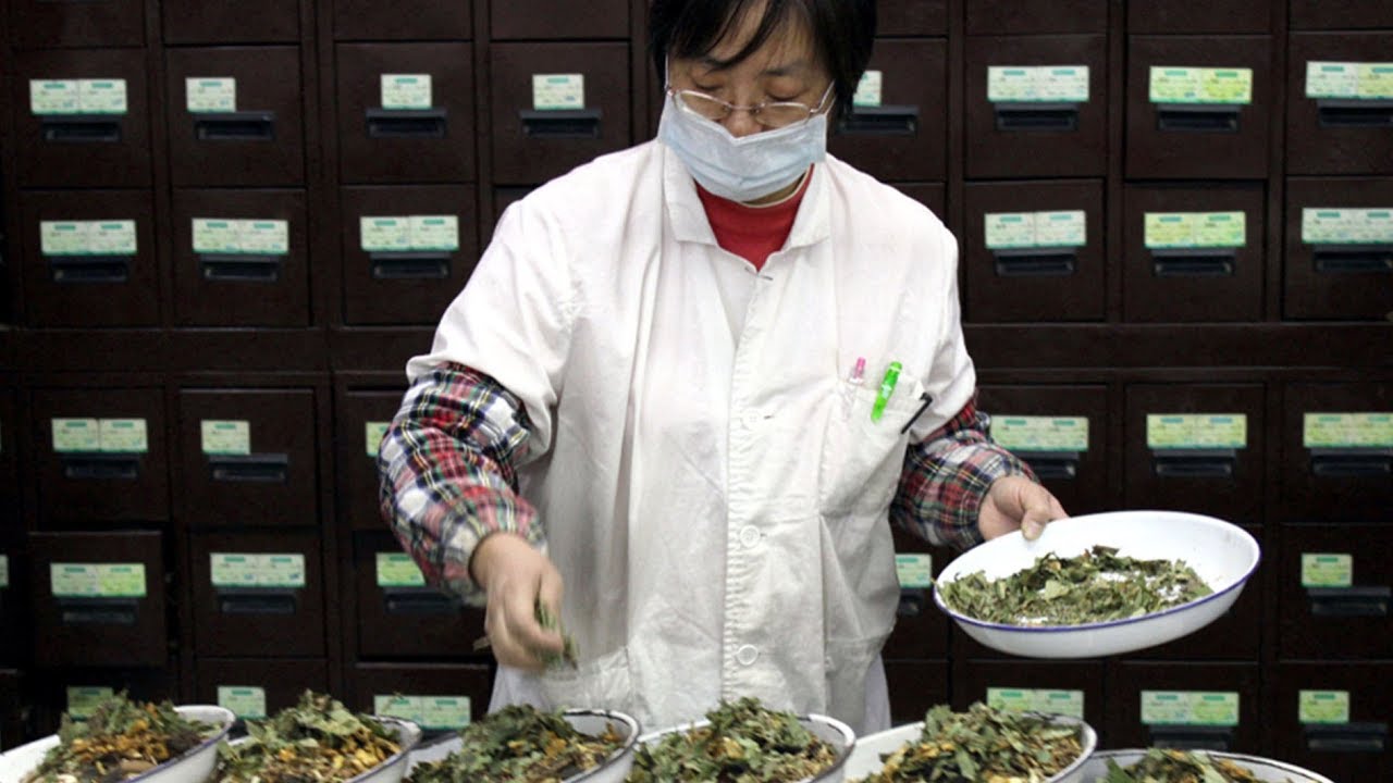 The Point: How can Traditional Chinese Medicine work in the West?