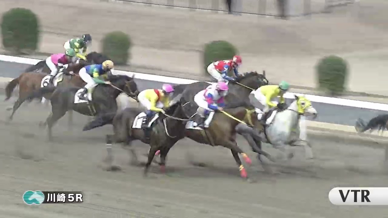 川崎競馬ダイジェスト（2026年3月2日）