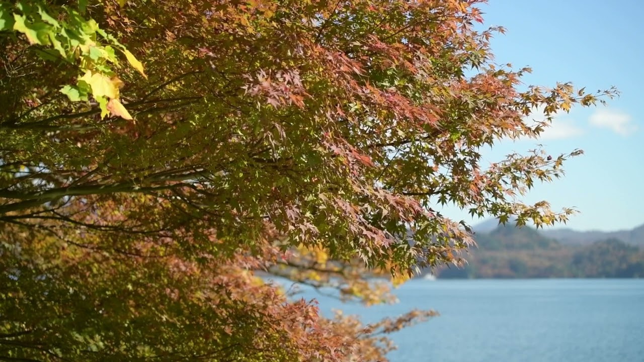 Nick Wood - Towadako Autumn