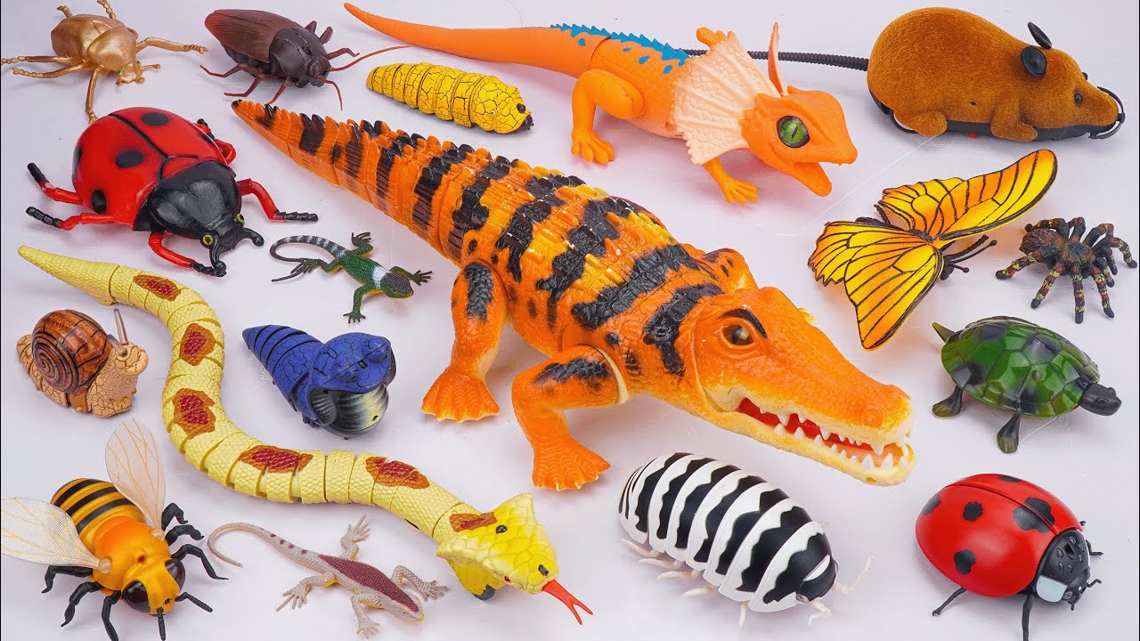ZURU ROBO ALIVE COLLECTION | UNBOXING Robo Crocodile, RC Snake, RC Butterfly | Review Toys