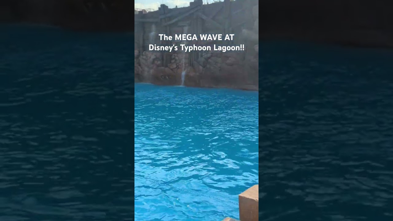 The mega wave at Disney's Typhoon Lagoon Water Park!!  