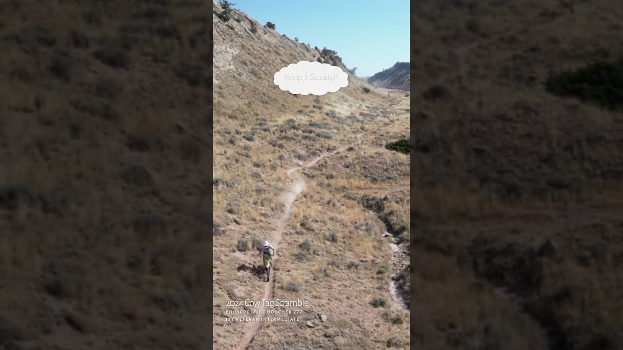2024 Cow Tag Scramble