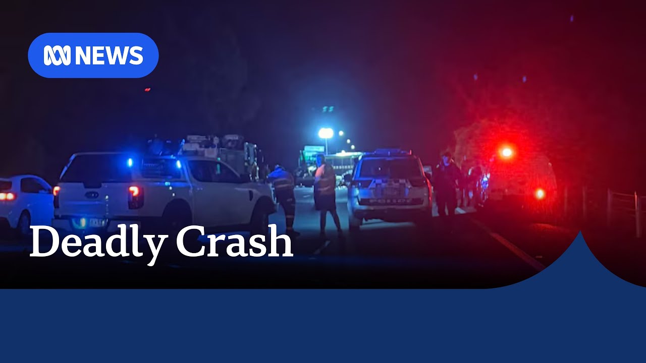 Man dies in head-on crash with truck travelling wrong way on Bruce Highway | ABC NEWS