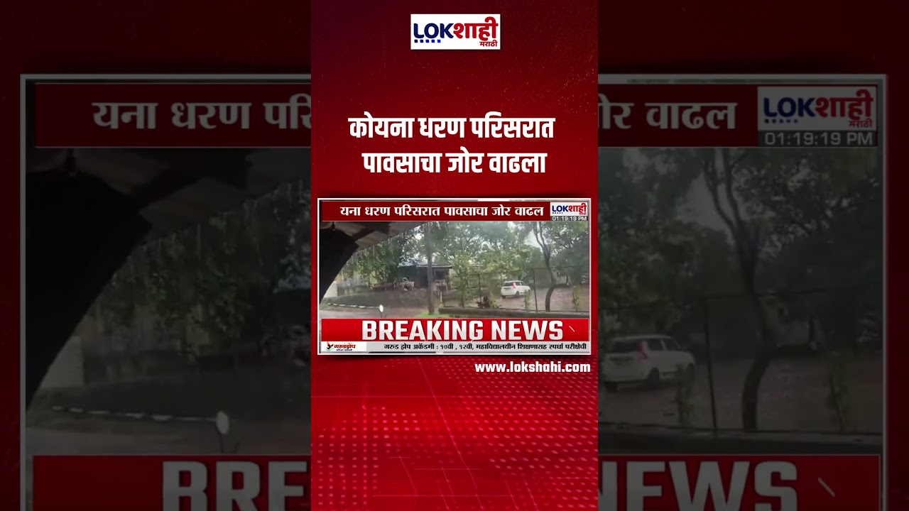 Koyna Dam Rain Update | कोयना धरण परिसरात पावसाचा जोर वाढला