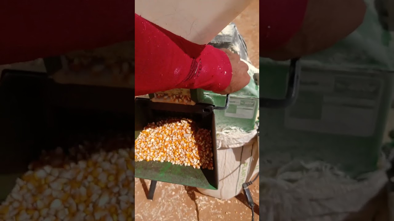 FORRAGEIRA MOENDO MILHO PENEIRA DE 5mm #trapp #agro