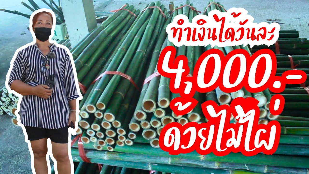 จากอาชีพเสริมสู่รายได้หลัก สร้างรายได้อาทิตย์ละเกือบ 30,000 บาท