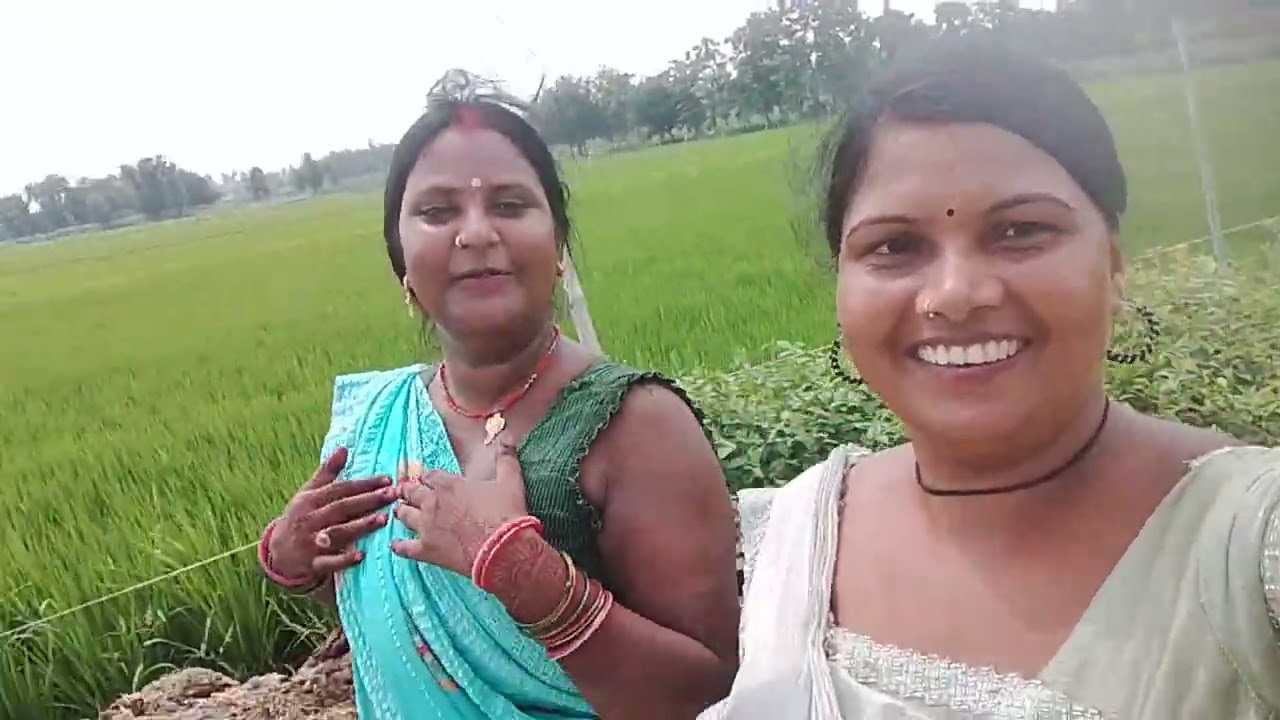 To hello doston good morning