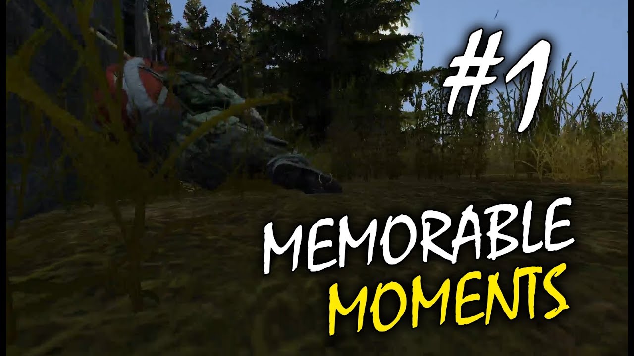 MEMORABLE MOMENTS #1 (DAYZ STANDALONE) (German/Deutsch) | Agy