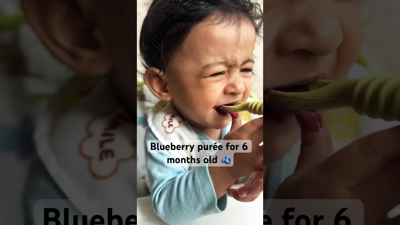 Blueberry pur&eacute;e for 6 months old🫐#firstfood #startingsolids #babyfood #6monthsold #blueberry #blw