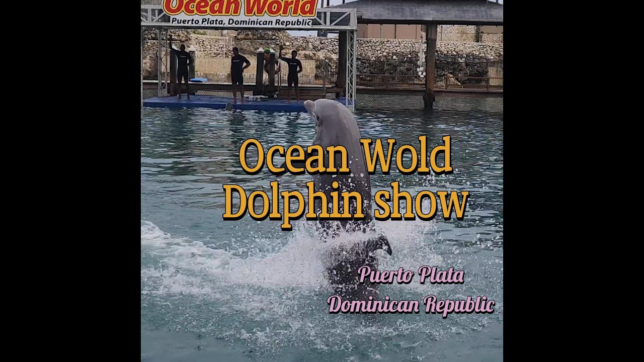 Wonderful Dolphin Show at Ocean World Adventure Park in the Dominican Republic! 海洋世界的海豚秀 多米尼加共和国