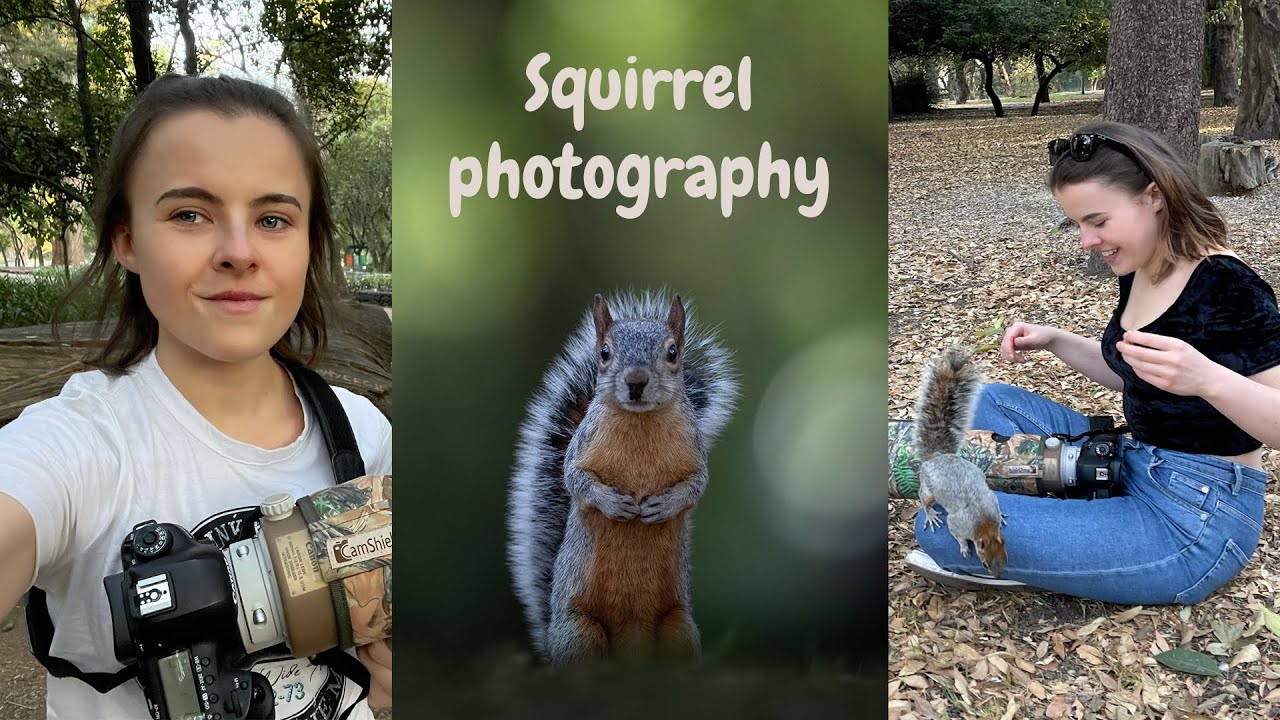 Как фотографировать городских белок 🐿 МОИ ЛУЧШИЕ СОВЕТЫ! 📍Мехико 🇲🇽