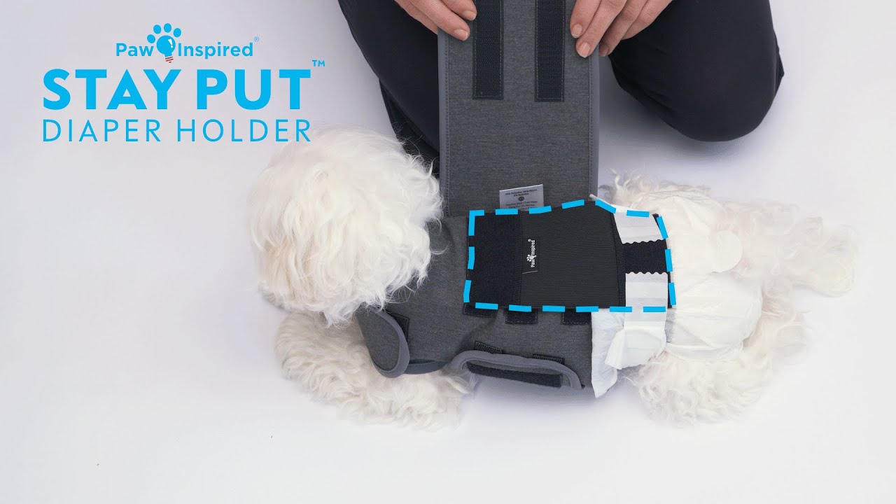 Держатель для подгузников Paw Inspired® Stay Put™